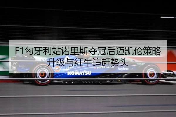 xiong-ya-li-zhan-nuo-li-si-duo-guan-hou-mai-kai-lun-ce-lve-sheng-ji-yu-hong-niu-zhui-gan-shi-tou-3-691.jpg